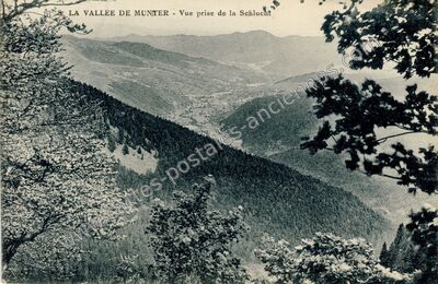 Carte postale ancienne Vallee de Munster — Munster (Haut-Rhin)