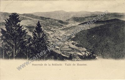 Carte postale ancienne Vallee de Munster — Munster (Haut-Rhin)