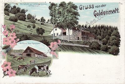 Carte postale ancienne Goldenmatt — Non Localisée (Haut-Rhin)