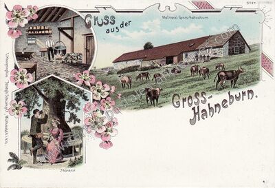 Carte postale ancienne Gross Hahneburn — Non Localisée (Haut-Rhin)