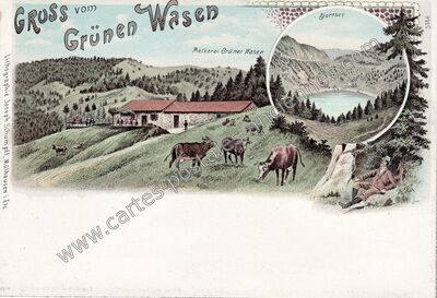 Carte postale ancienne Grunen Wasen — Non Localisée (Haut-Rhin)