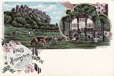 Carte postale ancienne Hirzenstein — Non Localisée (Haut-Rhin)