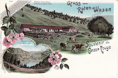 Carte postale ancienne Roten Wasen — Non Localisée (Haut-Rhin)