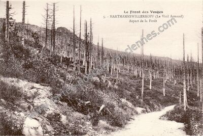 Carte postale ancienne Hartmannswillerkopf — Hartmannswiller (Haut-Rhin)