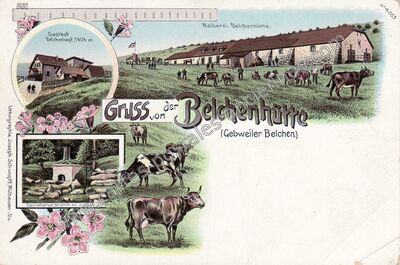 Carte postale ancienne Belchenhutte — Linthal (Haut-Rhin)