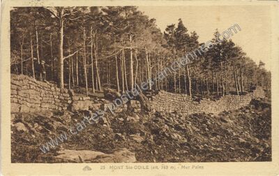 Carte postale ancienne Mont Ste Odile — Ottrott (Bas-Rhin)