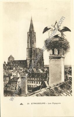 Carte postale ancienne Les Cigognes — Strasbourg (Bas-Rhin)