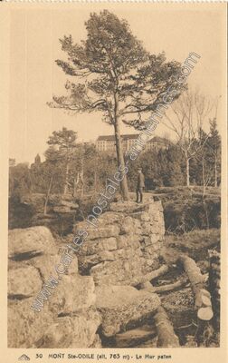 Carte postale ancienne Mont Ste Odile — Ottrott (Bas-Rhin)