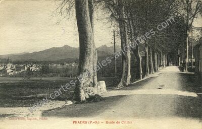 Carte postale ancienne Route de Catllar — Prades (Pyrénées-Orientales)