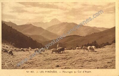 Carte postale ancienne Le Col D'Aspin — Aspin-Aure (Hautes-Pyrénées)