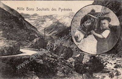 Carte postale ancienne Pyrenees — Non Localisée (Pyrénées-Atlantiques)