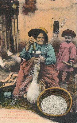 Carte postale ancienne Types Pyreneens — Non Localisée (Pyrénées-Atlantiques)