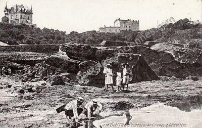 Carte postale ancienne Pêcheurs de Crabes & Crevettes — Biarritz (Pyrénées-Atlantiques)