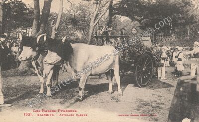 Carte postale ancienne ATTELAGE BASQUE — Biarritz (Pyrénées-Atlantiques)