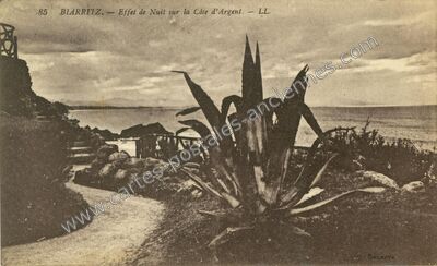 Carte postale ancienne Effet de Nuit sur la Côte d'Argent — Biarritz (Pyrénées-Atlantiques)