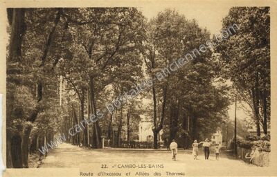 Carte postale ancienne Route d'Itxassou et Allées des Thermes — Cambo-les-Bains (Pyrénées-Atlantiques)