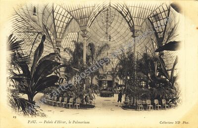 Carte postale ancienne Palais d'Hiver, le Palmarium — Pau (Pyrénées-Atlantiques)