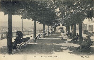 Carte postale ancienne Le Boulevard du Midi — Pau (Pyrénées-Atlantiques)