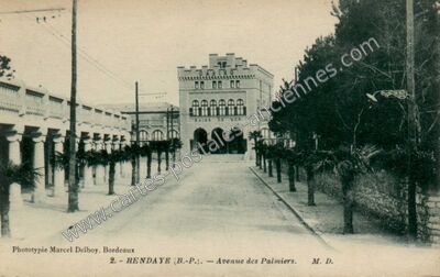 Carte postale ancienne Avenue des Palmiers — Hendaye (Pyrénées-Atlantiques)