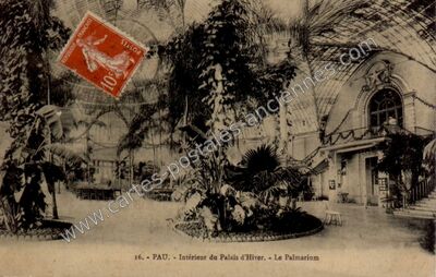 Carte postale ancienne Intérieur du Palais d'Hiver. - Le Palmarium — Pau (Pyrénées-Atlantiques)