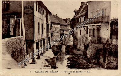 Carte postale ancienne Vue sur le Saleys — Salies-de-Béarn (Pyrénées-Atlantiques)