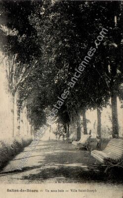 Carte postale ancienne Un sous bois — Villa Saint-Joseph — Salies-de-Béarn (Pyrénées-Atlantiques)