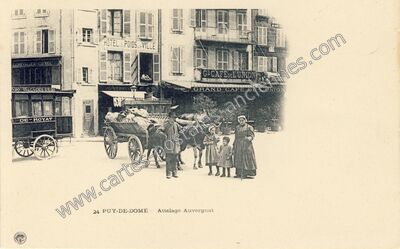 Carte postale ancienne Attelage Auvergnat — Non Localisée (Puy-de-Dôme)