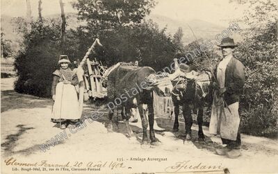 Carte postale ancienne Attelage Auvergnat — Non Localisée (Puy-de-Dôme)