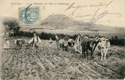 Carte postale ancienne Auvergne — Non Localisée (Puy-de-Dôme)