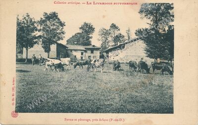 Carte postale ancienne Ferme et pâturage — Arlanc (Puy-de-Dôme)
