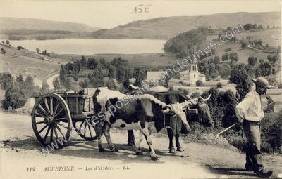 Carte postale ancienne Lac d'Aydat — Aydat (Puy-de-Dôme)