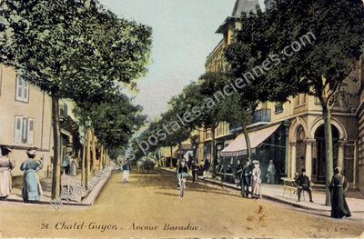 Carte postale ancienne Avenue Baraduc — Chatelguyon (Puy-de-Dôme)
