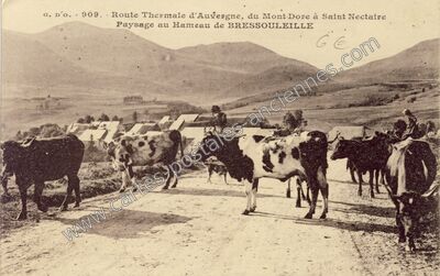 Carte postale ancienne Bressouleille — Chambon-sur-Lac (Puy-de-Dôme)