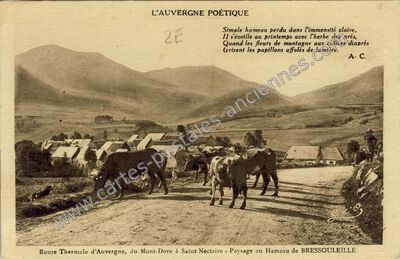 Carte postale ancienne Bressouleille — Chambon-sur-Lac (Puy-de-Dôme)