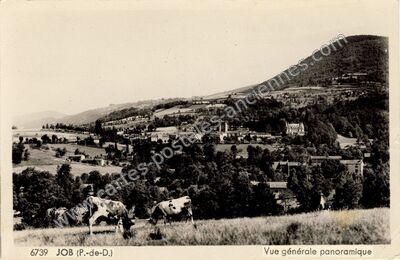 Carte postale ancienne Vue générale panoramique — Job (Puy-de-Dôme)