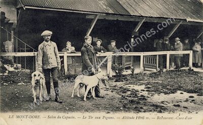 Carte postale ancienne Le Mont Dore — Mont-Dore (Puy-de-Dôme)