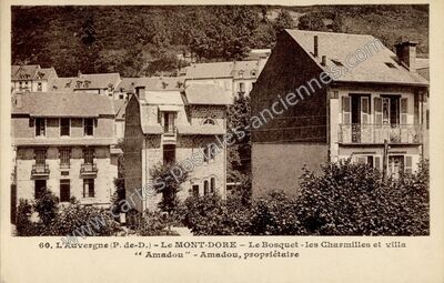 Carte postale ancienne L'Auvergne - Le Bosquet - les Charmilles et villa "Amadou — Mont-Dore (Puy-de-Dôme)