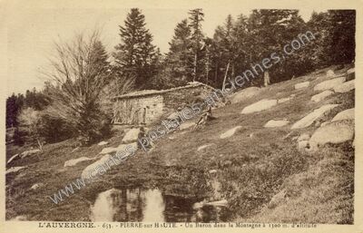 Carte postale ancienne Pierre sur Haute — Job (Puy-de-Dôme)