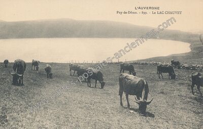 Carte postale ancienne Lac Chauvet — Picherande (Puy-de-Dôme)