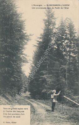 Carte postale ancienne Une promenade dans la Forêt de l'Etat — Saint-Germain-l'Herm (Puy-de-Dôme)