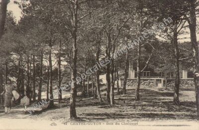 Carte postale ancienne Bois du Chalusset — Chatelguyon (Puy-de-Dôme)