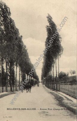 Carte postale ancienne Avenue Pont Champ-de-Corne — Bellerive-sur-Allier (Allier)