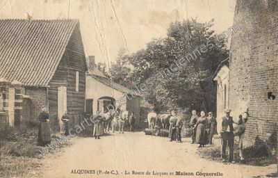 Carte postale ancienne La Route de Licques et Maison Coquerelle — Alquines (Pas-de-Calais)