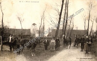Carte postale ancienne Place Duhamel — Avroult (Pas-de-Calais)