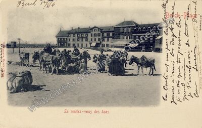 Carte postale ancienne Le rendez-vous des ânes — Berck (Pas-de-Calais)