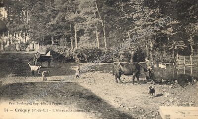 Carte postale ancienne L'Abreuvoir communal — Créquy (Pas-de-Calais)