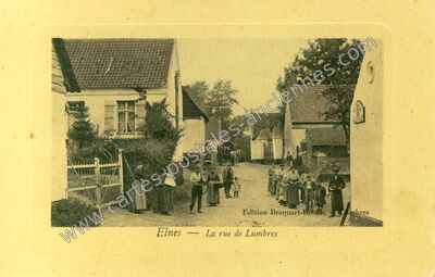 Carte postale ancienne La rue de Lumbrès — Elnes (Pas-de-Calais)