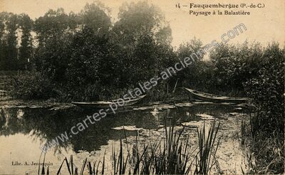 Carte postale ancienne Paysage à la Balastière — Fauquembergues (Pas-de-Calais)