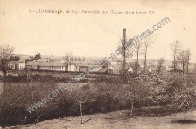 Carte postale ancienne Ensemble des Usines Avot fils et Cie — Lumbres (Pas-de-Calais)