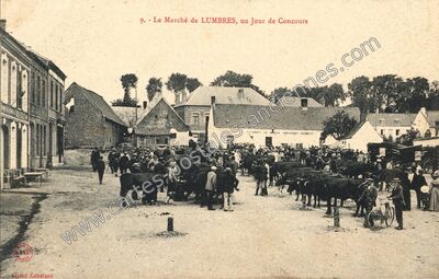 Carte postale ancienne Le Marché, un Jour de Concours — Lumbres (Pas-de-Calais)
